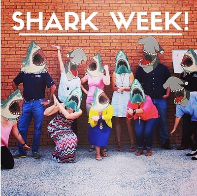 shark-week.jpg